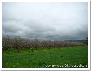 IMG_8332 IMG_8332