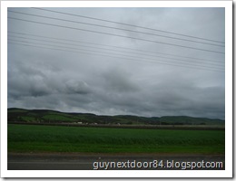 IMG_8252 IMG_8252