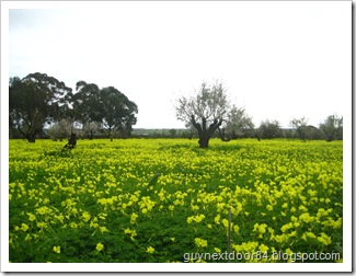 IMG_8259 IMG_8259