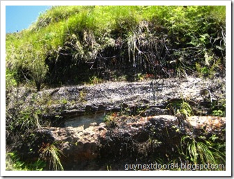 IMG_2208 IMG_2208