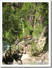 IMG_2226 IMG_2226