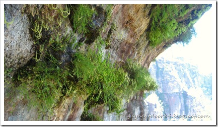 IMG_2239 IMG_2239