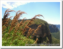 IMG_2254 IMG_2254
