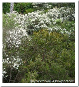 IMG_2266 IMG_2266