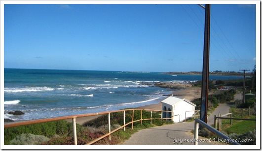 IMG_6603 IMG_6603