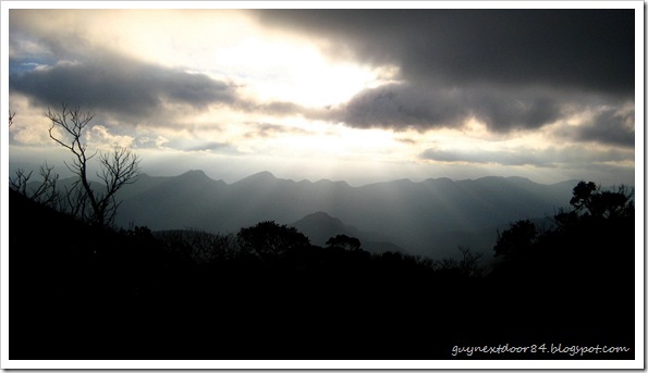 IMG_7809 IMG_7809