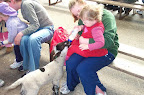 Pets Corner