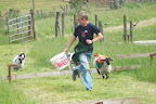 Sheep Training