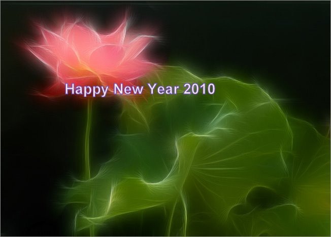 Happy-New-Year-2010-latest-pic