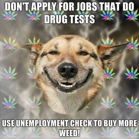 Dont-apply-for-jobs-that-do-drug-tests-Use-unemployment-check-to-buy-more-weed