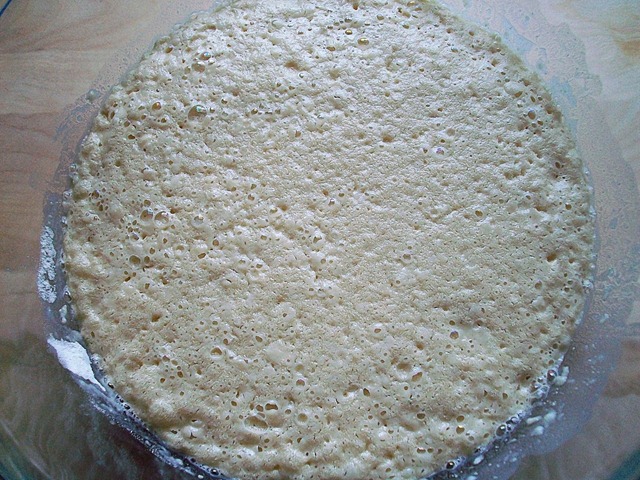 [proofed yeast[5].jpg]