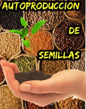 [semilla[3].jpg]