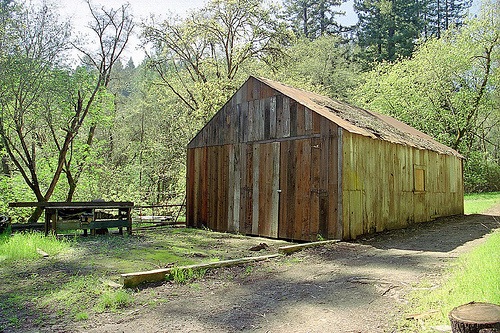 [shed 7[2].jpg]