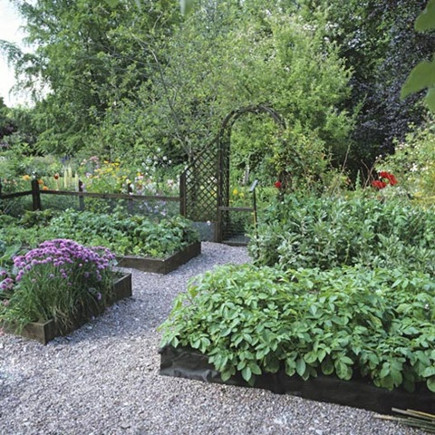 [vegie patch www.housetohome.co.uk[2].jpg]