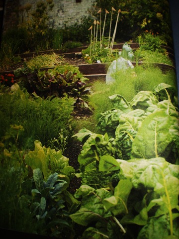 [jamie olivers garden from Jamie At Home 001[2].jpg]