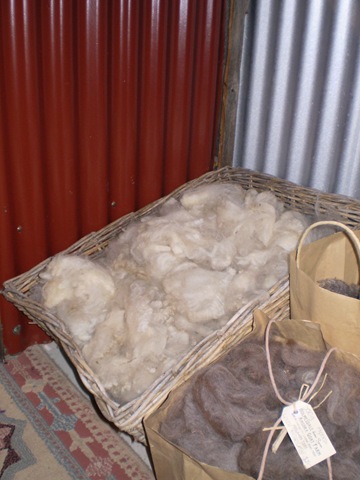[jUNE 8TH 2010 Joanne's shop and oaklands 015.jpg]