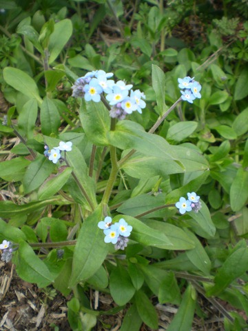 [september20100063.jpg]