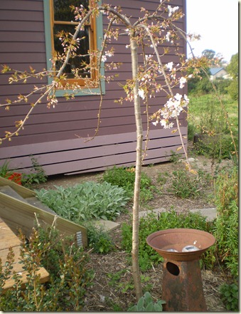 september 2010 035