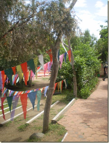 october 2010 023
