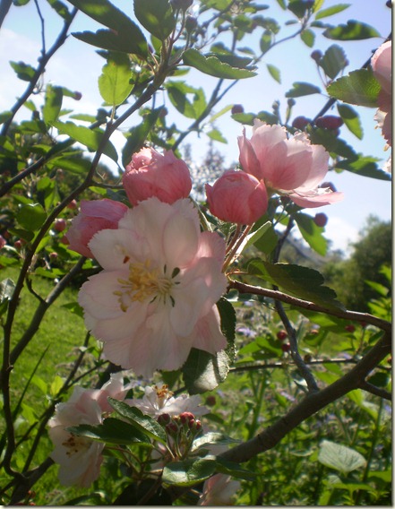 october 2010 032