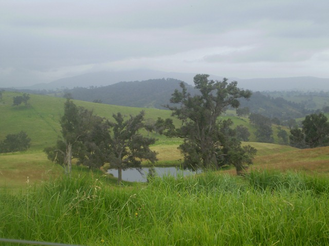 [december20100433.jpg]