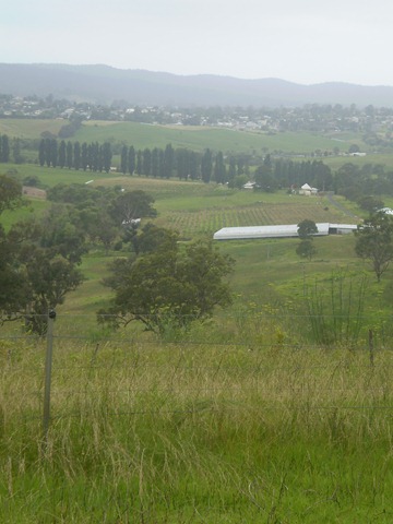 [december20100624.jpg]