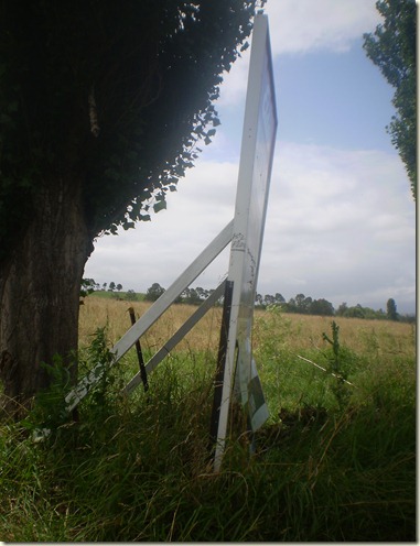 december 2010 025