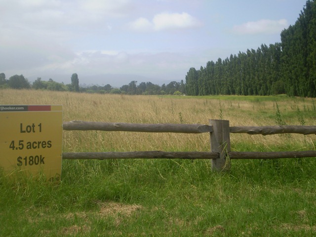 [december20100263.jpg]