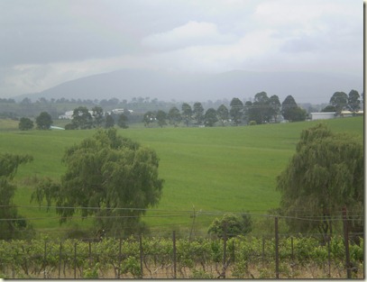 december 2010 028