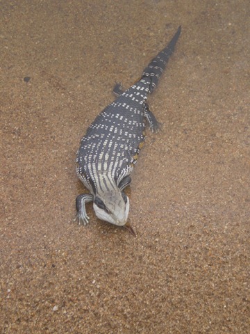 [december20100053.jpg]
