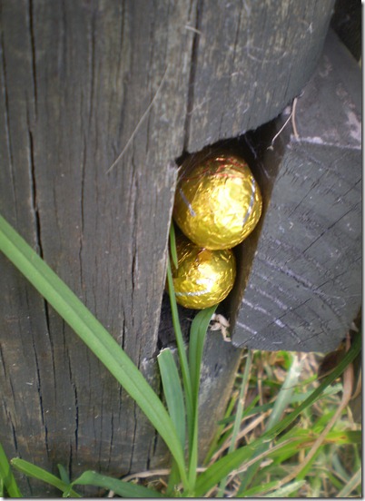april 2011 062