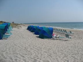 Florida0904_0029.jpg