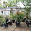 Landscaping supplies