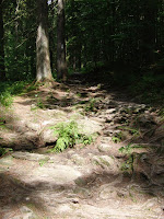 CIMG0276.JPG