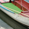IMG_2227.JPG