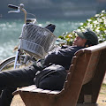 IMG_2330.JPG