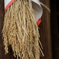 Kurashiki-65.JPG