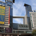 CIMG1784.JPG