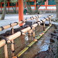 B0003784.JPG
