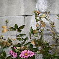 onomichi-9.JPG