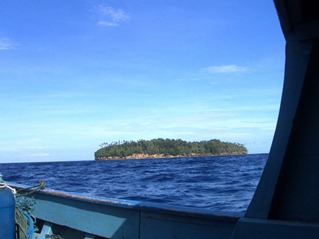 view from the boat