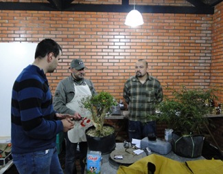 DSC01470 Tamanho reduzido