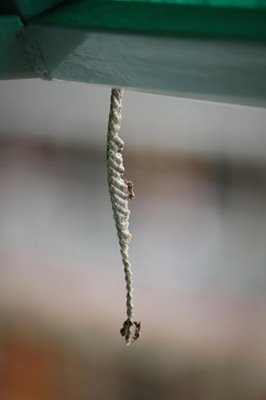 [IMG_13783.jpg]