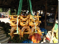 IMG_0163 IMG_0163