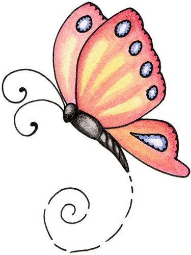 [Butterfly[3].jpg]
