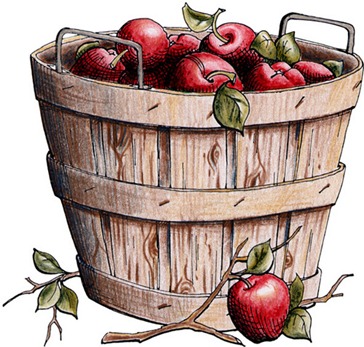 Apple Basket