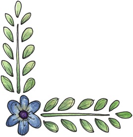 CNR Flower