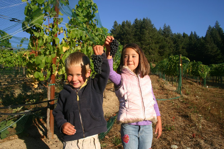 My kids, Rocco and Helen doing the real work- picking!  Oh, wait, eating...