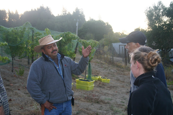 Ulises Valdez, Bartolomei Ranch Vineyard Manager