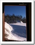 iPhone 036